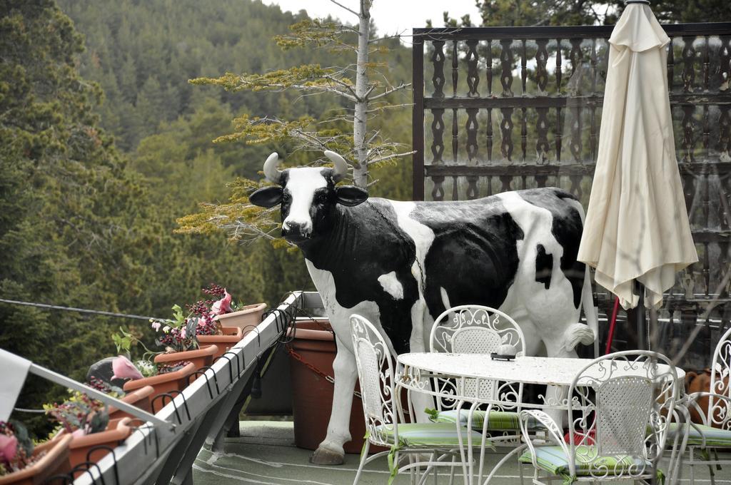 Amoretes Hotel